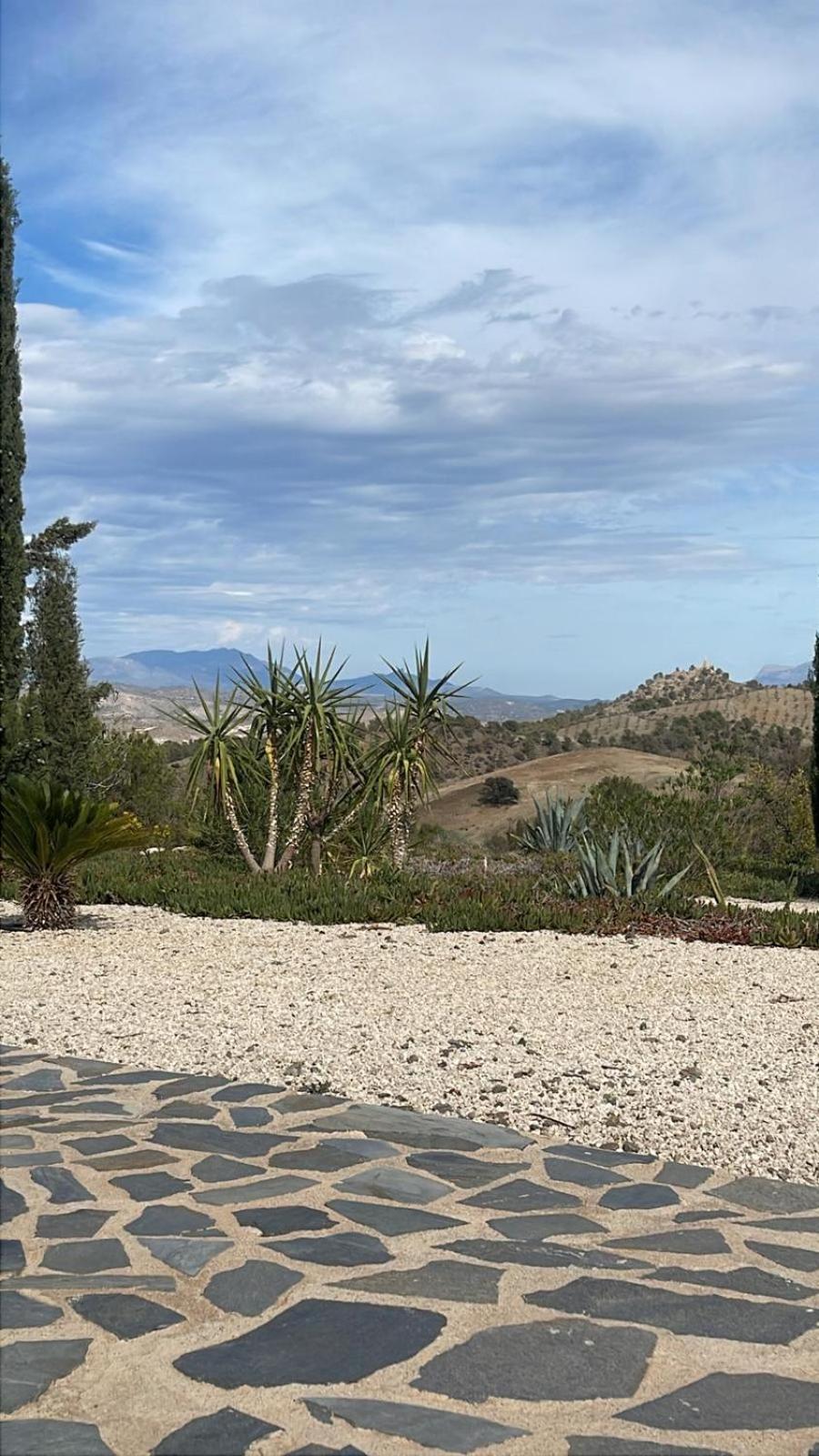 לינה וארוחת בוקר Fuensanta  Casa Lamberdina מראה חיצוני תמונה