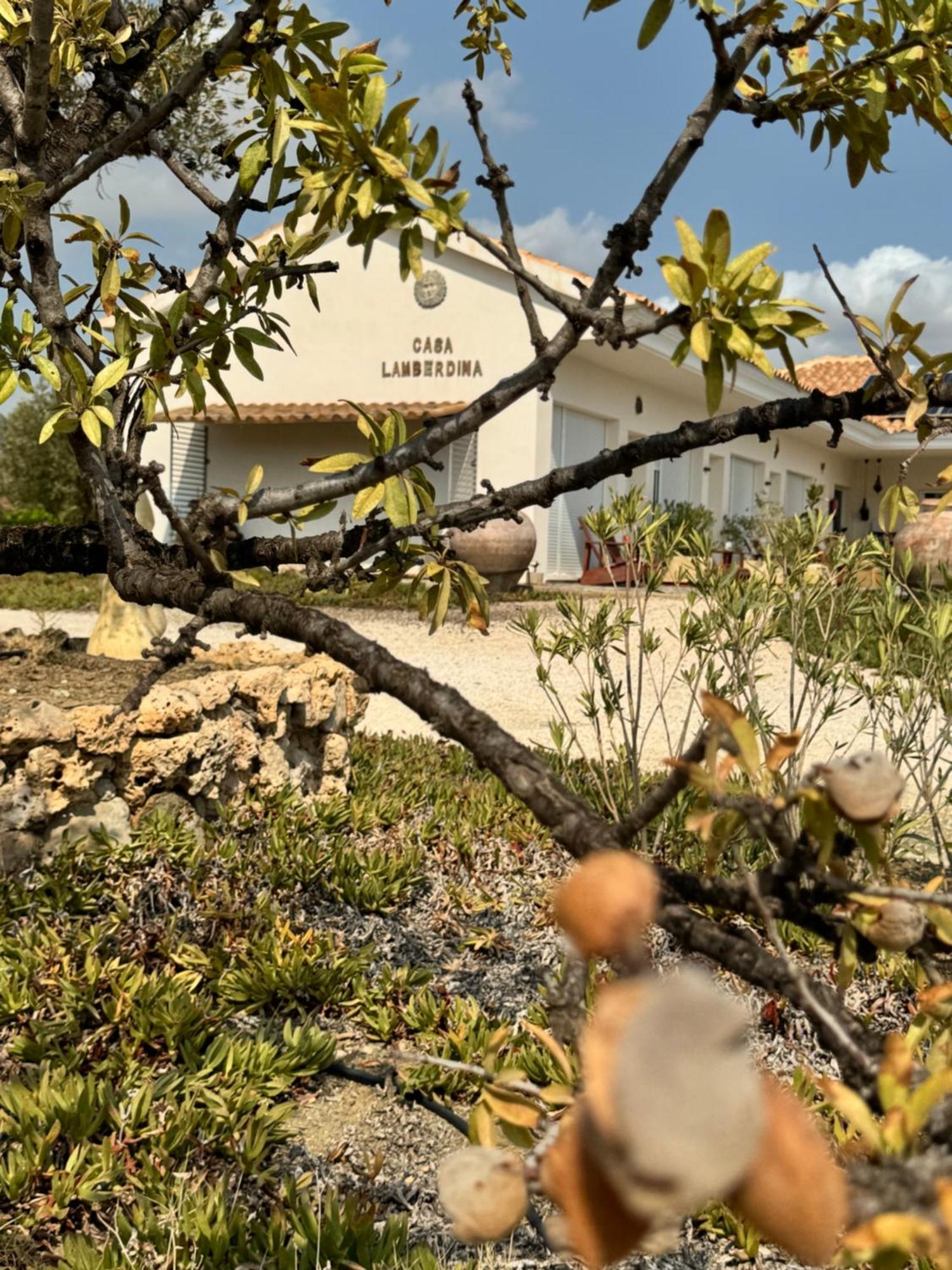 לינה וארוחת בוקר Fuensanta  Casa Lamberdina מראה חיצוני תמונה