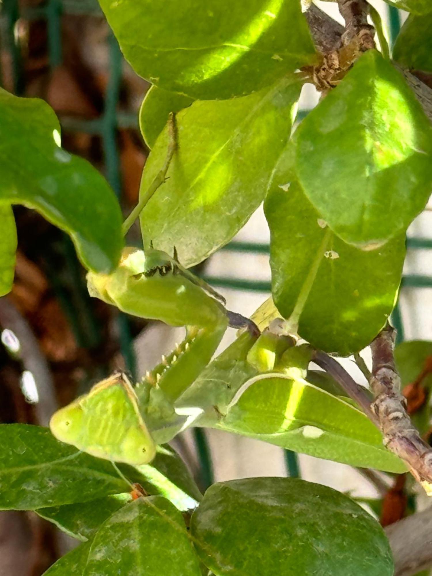 לינה וארוחת בוקר Fuensanta  Casa Lamberdina מראה חיצוני תמונה